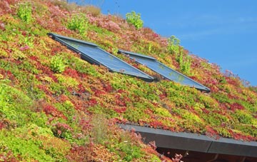 Stretton En Le Field living roof systems