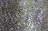 Stretton En Le Field fibreglass roof work